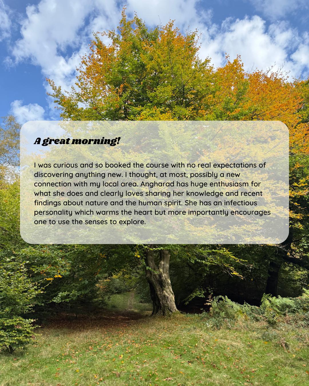 Participant feedback for Wild Heart Woodland Therapy session 1