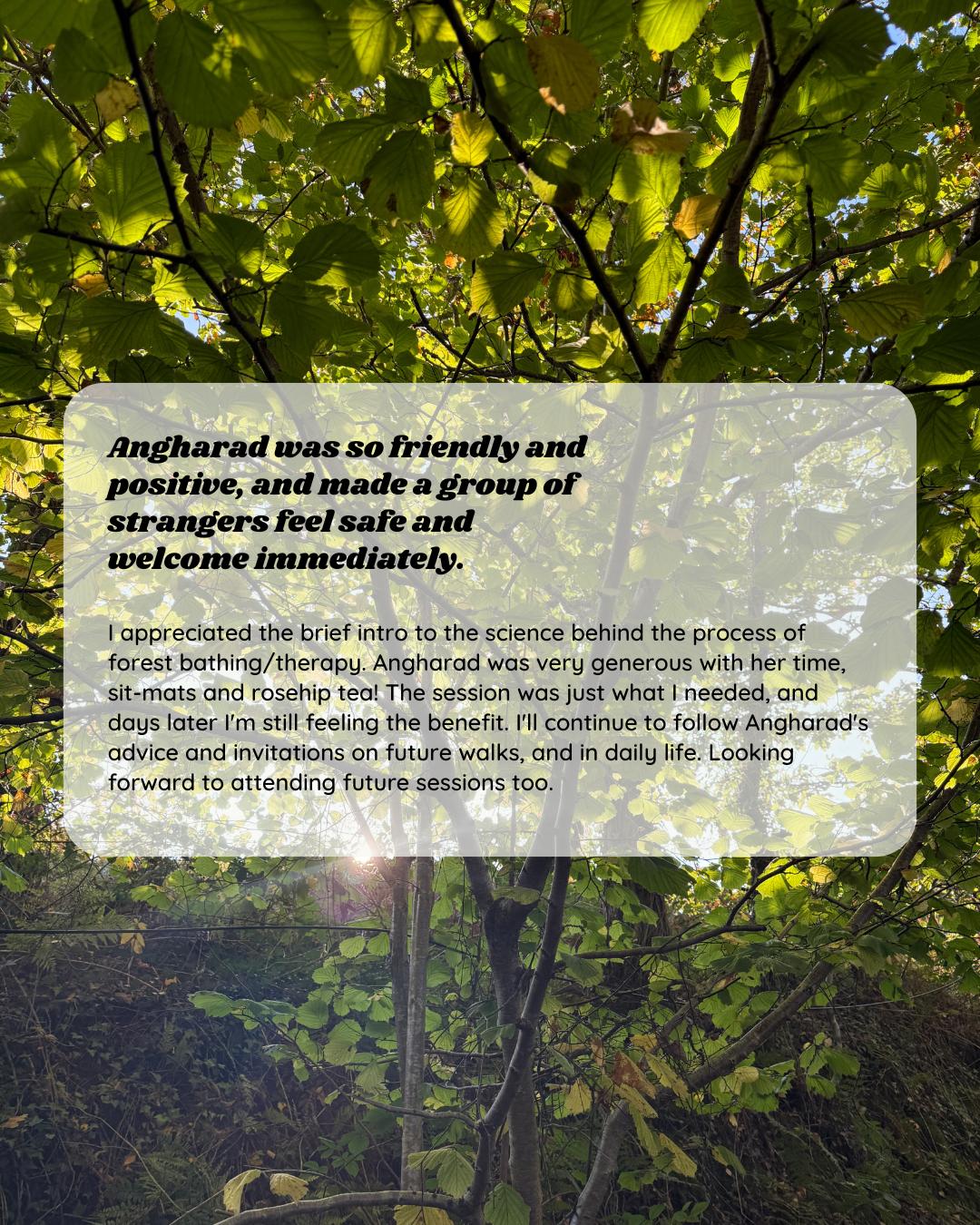 Participant feedback for Wild Heart Woodland Therapy session 3