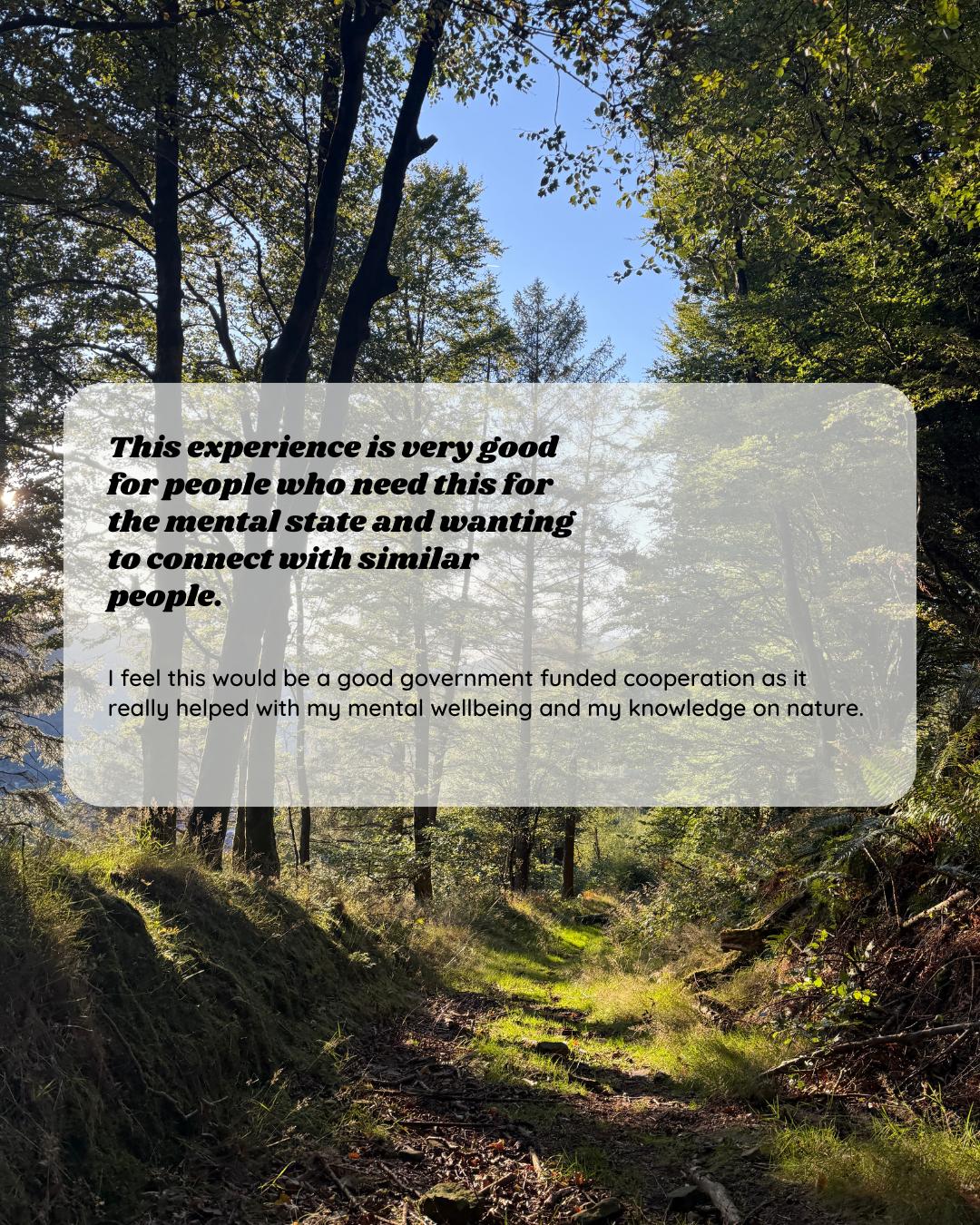 Participant feedback for Wild Heart Woodland Therapy session 4