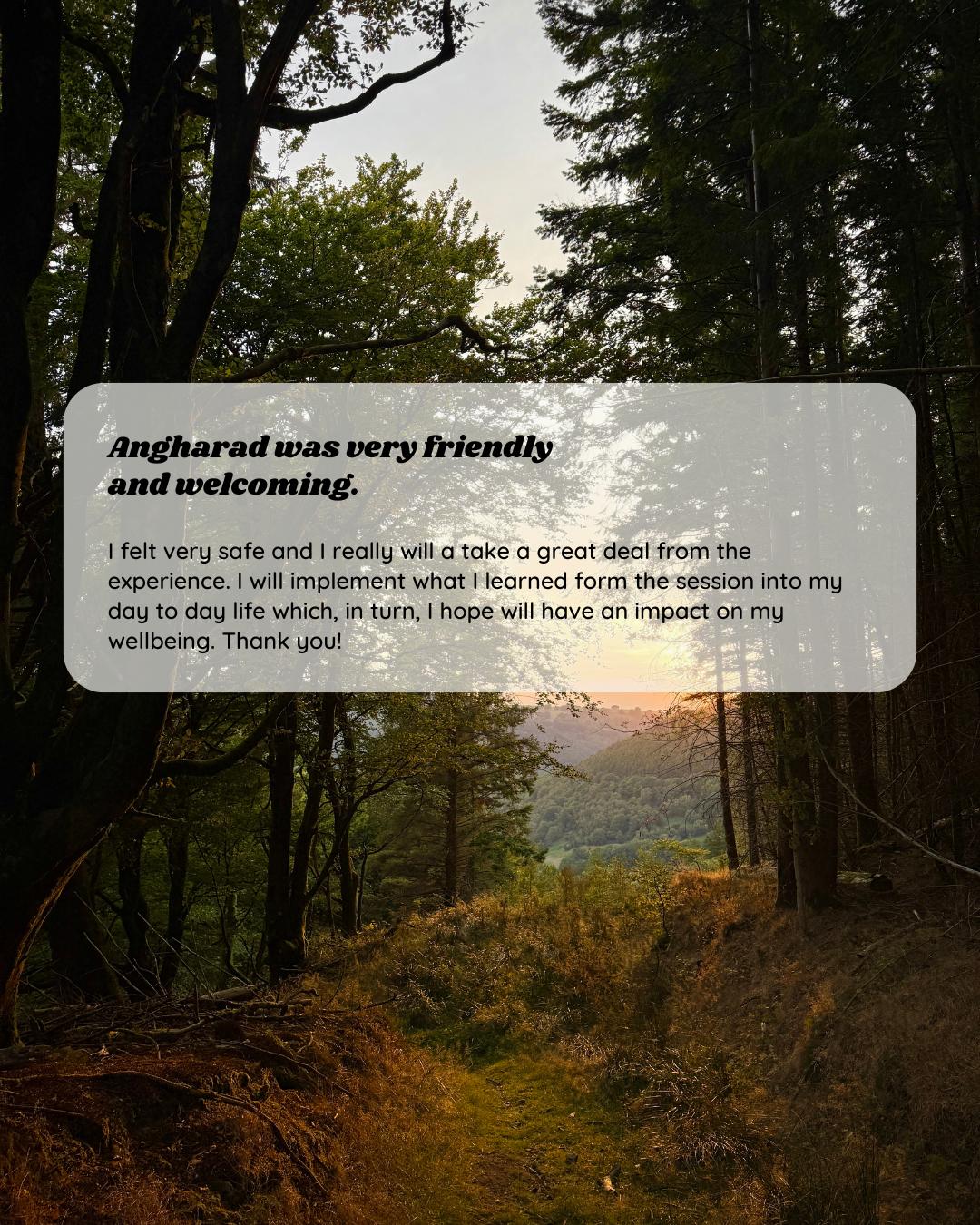 Participant feedback for Wild Heart Woodland Therapy session 5