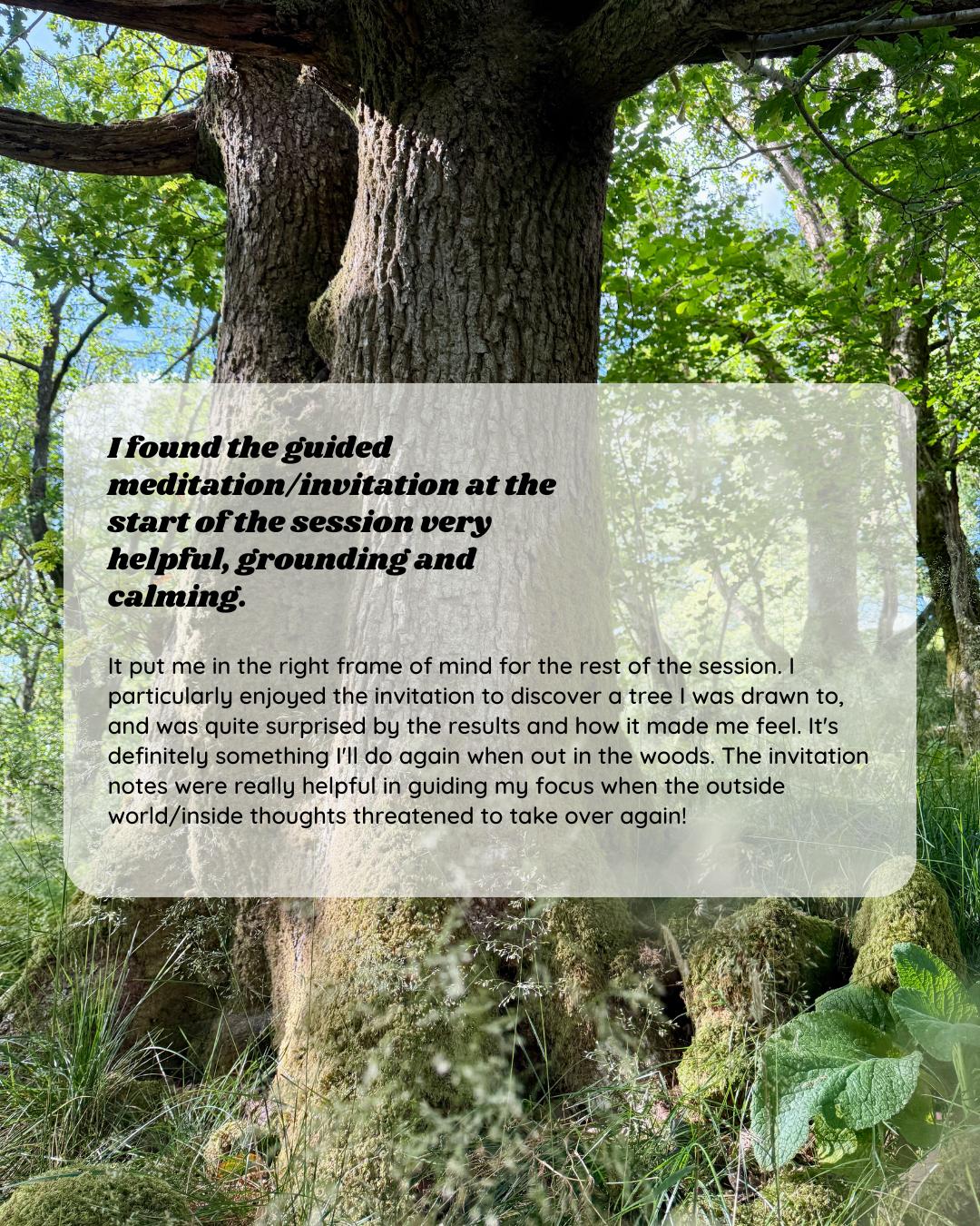 Participant feedback for Wild Heart Woodland Therapy session 6