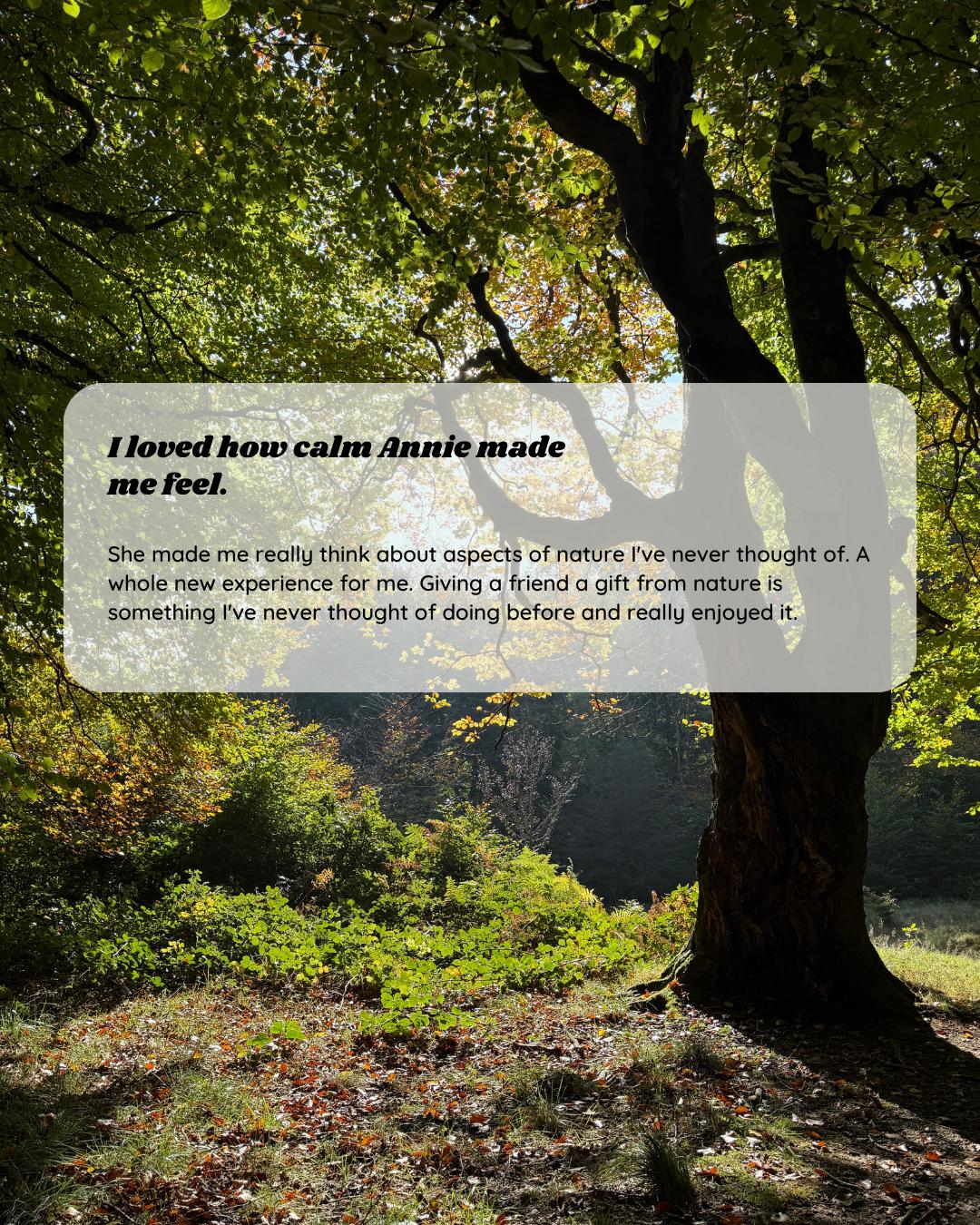 Participant feedback for Wild Heart Woodland Therapy session 7