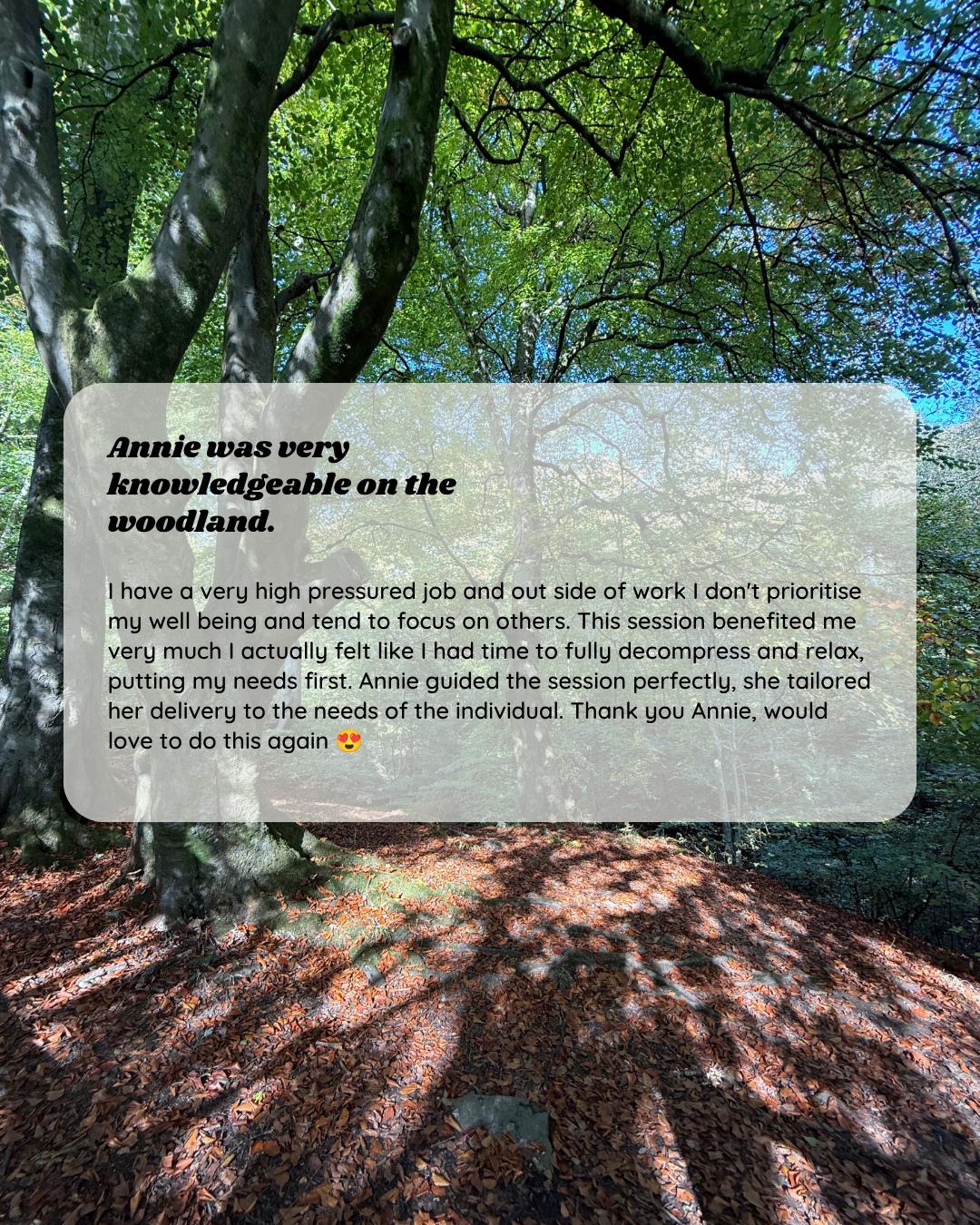 Participant feedback for Wild Heart Woodland Therapy session 8
