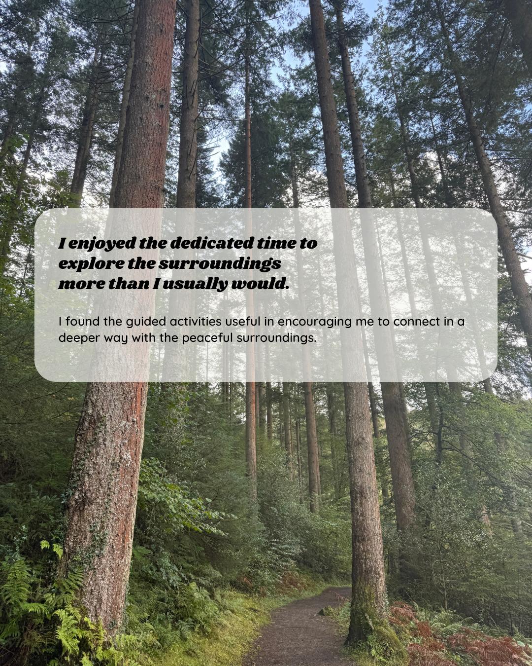 Participant feedback for Wild Heart Woodland Therapy session 9